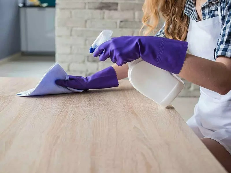 Ankara Temizlikçi